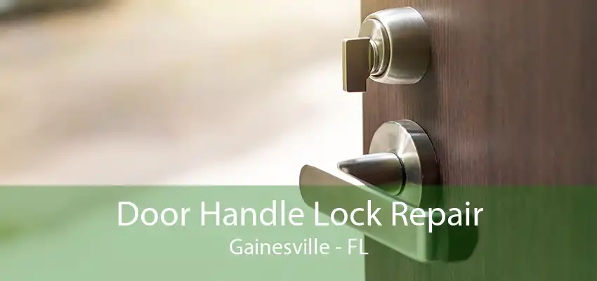 Door Handle Lock Repair Gainesville - FL