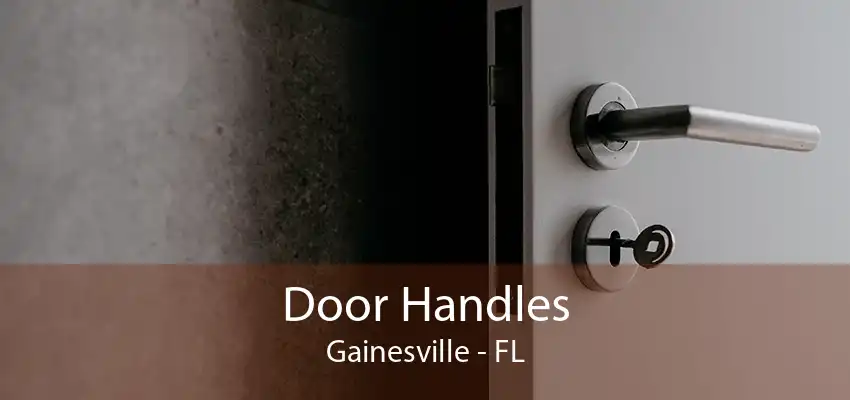 Door Handles Gainesville - FL