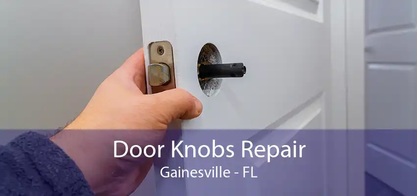 Door Knobs Repair Gainesville - FL