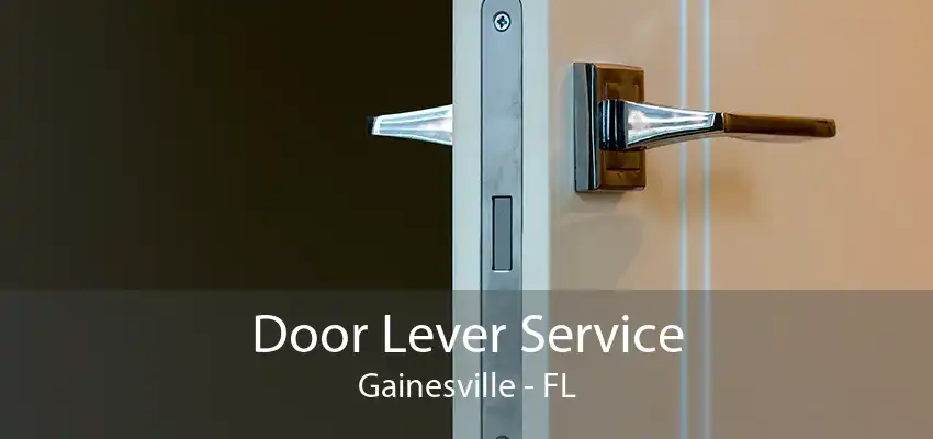 Door Lever Service Gainesville - FL