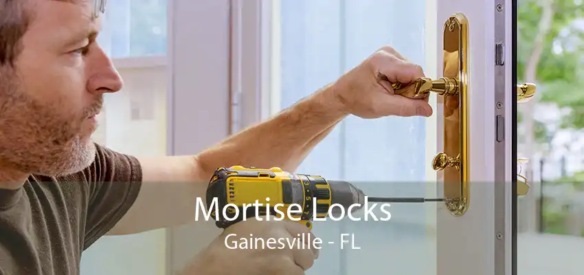 Mortise Locks Gainesville - FL